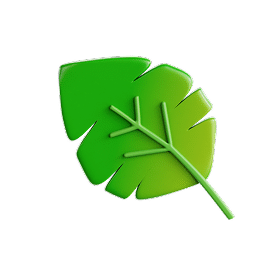 Icon 4